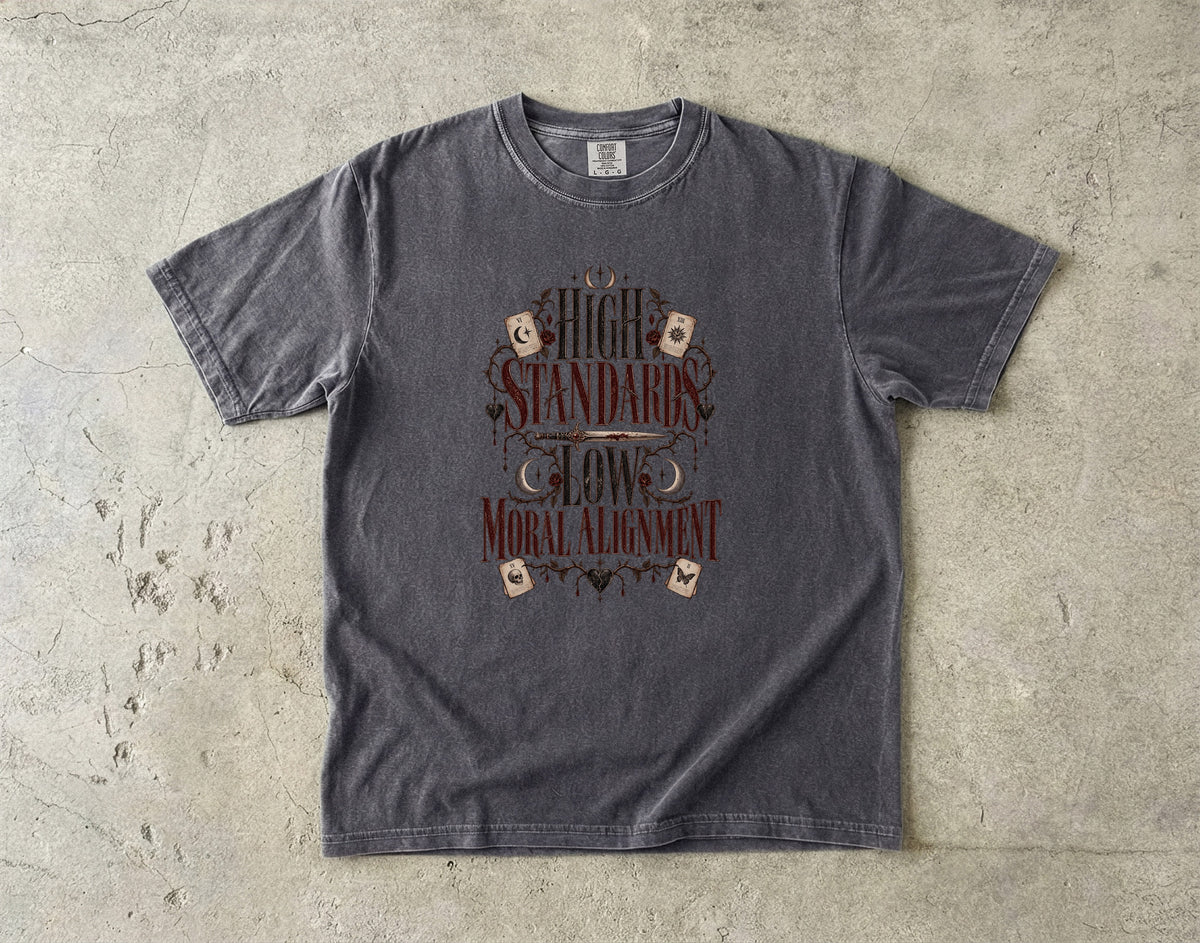 High Standards Low Moral Alignment Shirt, Dark Romance Reader Tee, Morally Gray Book Lover Gift, Comfort Colors T Shirt
