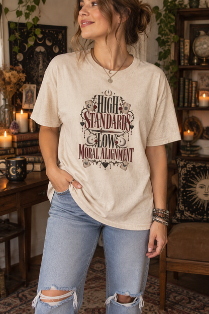 High Standards Low Moral Alignment Shirt, Dark Romance Reader Tee, Morally Gray Book Lover Gift, Comfort Colors T Shirt