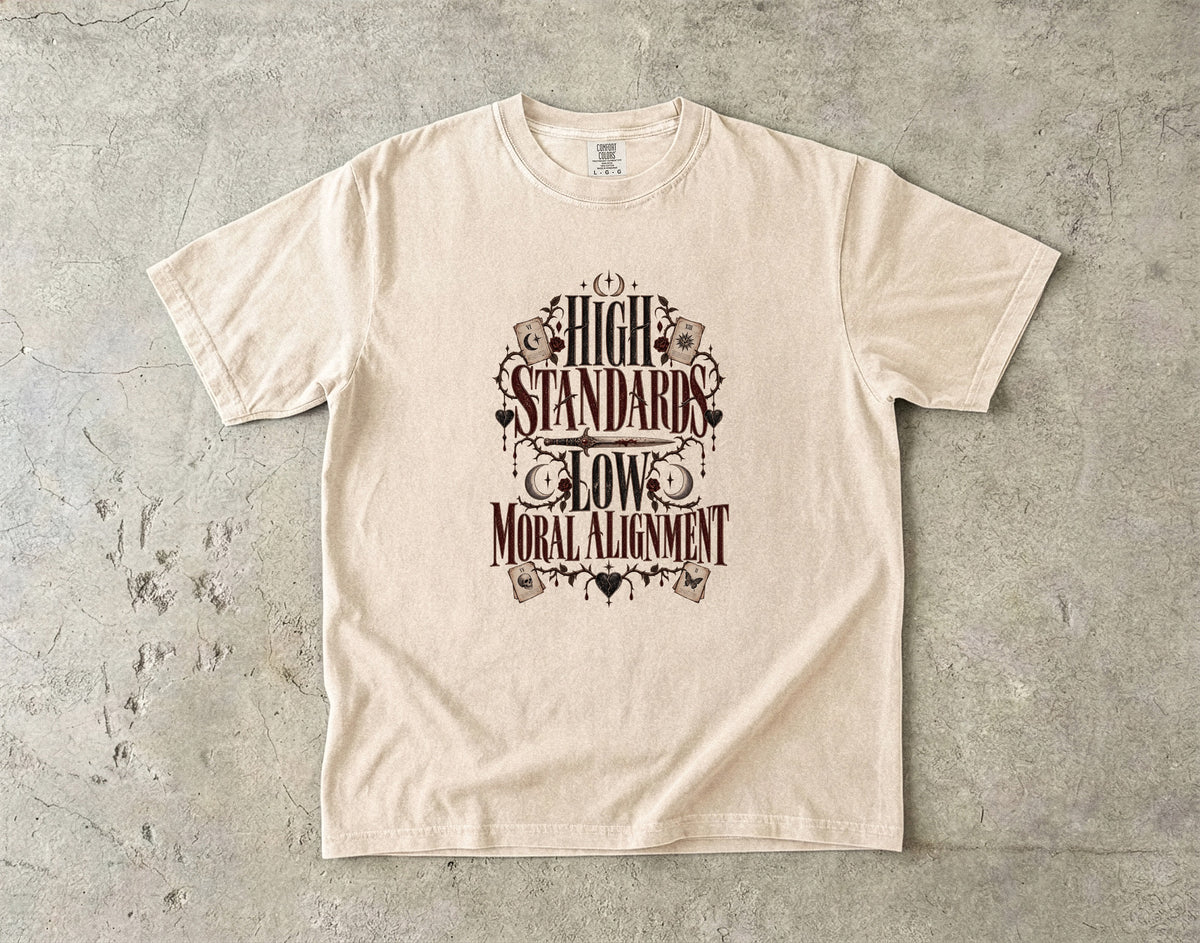 High Standards Low Moral Alignment Shirt, Dark Romance Reader Tee, Morally Gray Book Lover Gift, Comfort Colors T Shirt